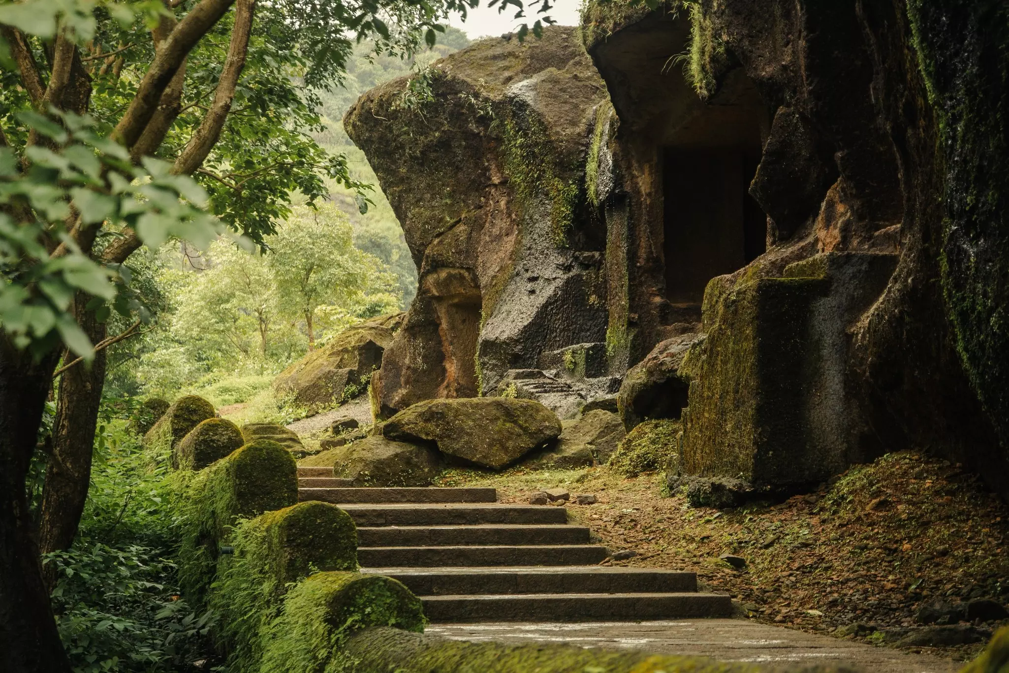 Wide stone steps through dense forest surrounded by large boulders lead to caves.