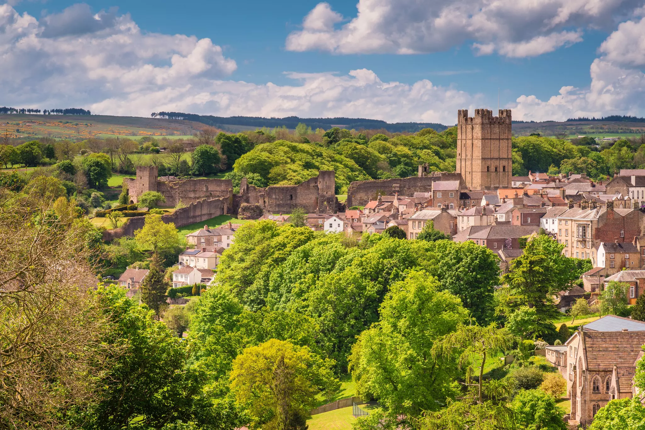 A market town surrounded by forests with a castle