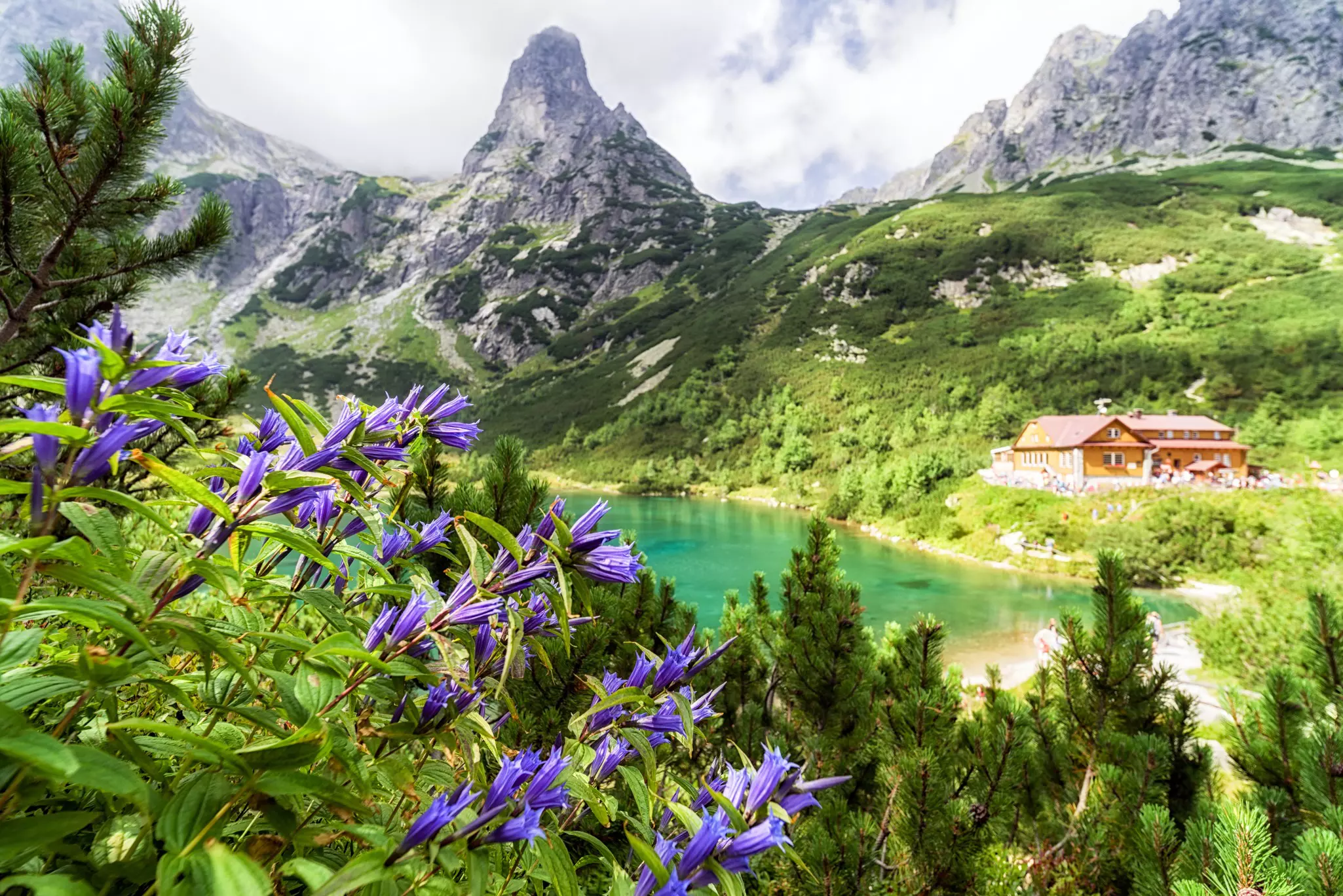 A lodge by a mountain lake next to crags under low-hanging clouds. Purple wildflowers are seen in the foreground.