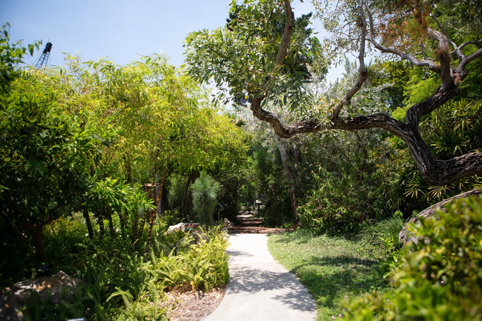 View of a path in the Miami Beach Botanical Garden in Miami, Florida.