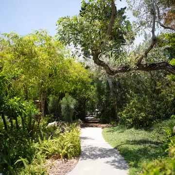 View of a path in the Miami Beach Botanical Garden in Miami, Florida.