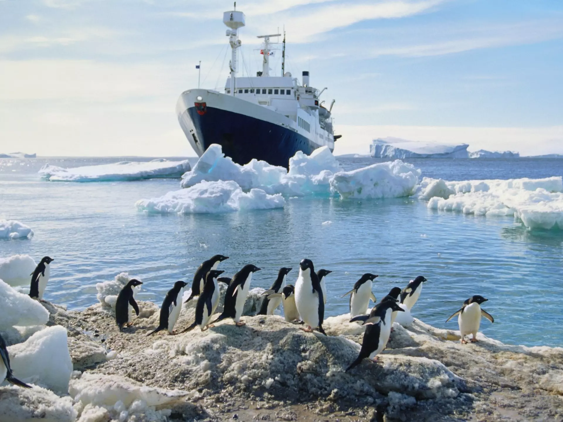 A group of penguins standing on an icy beach, ship in the water in the background, Antarctica.