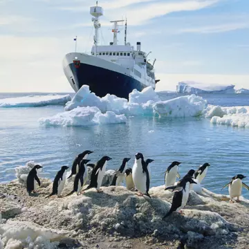 A group of penguins standing on an icy beach, ship in the water in the background, Antarctica.