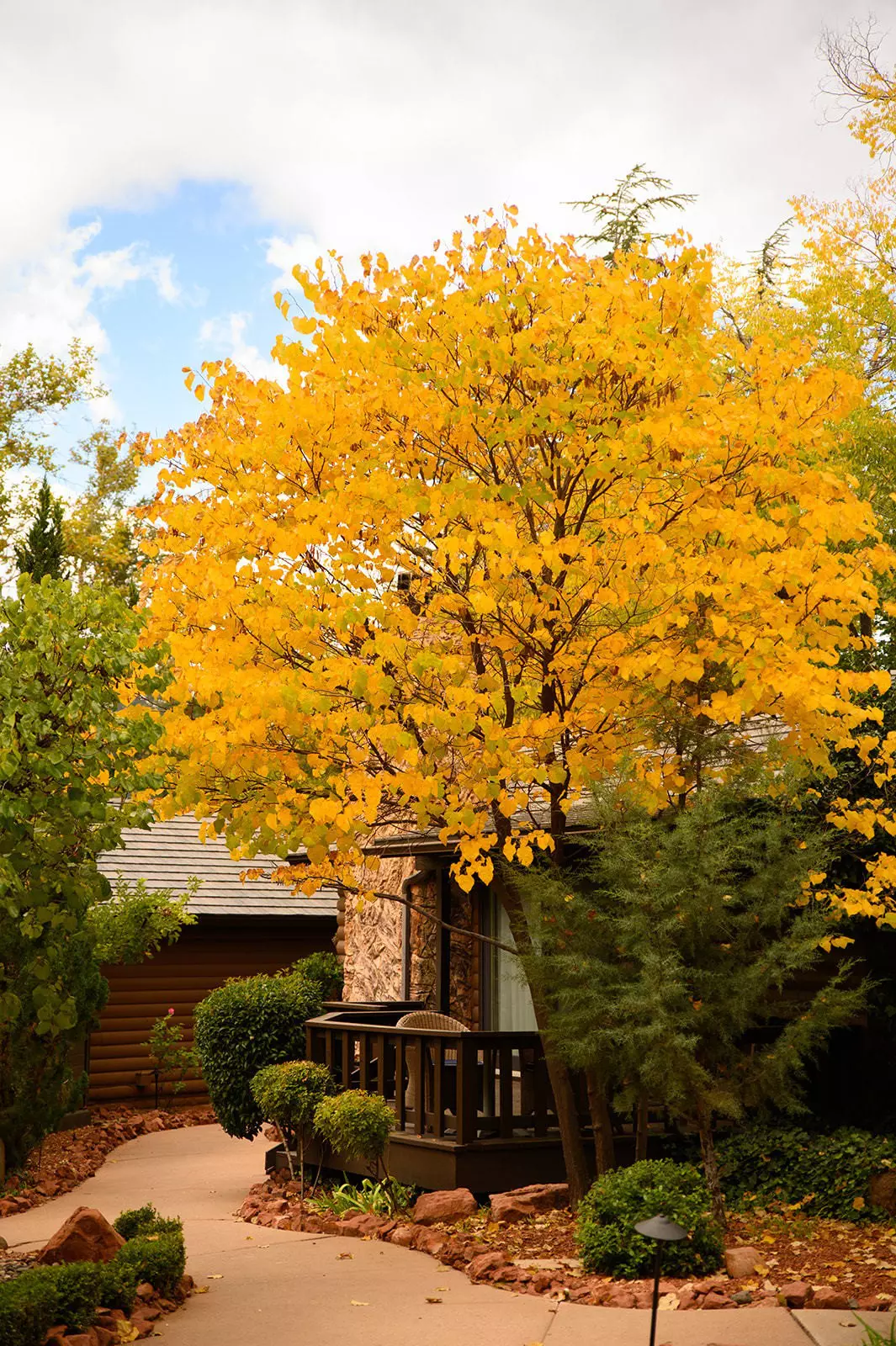Handout images from L'Auberge de Sedona
For "The best hotels for seeing fall foliage"
Credit: L’Auberge de Sedona
