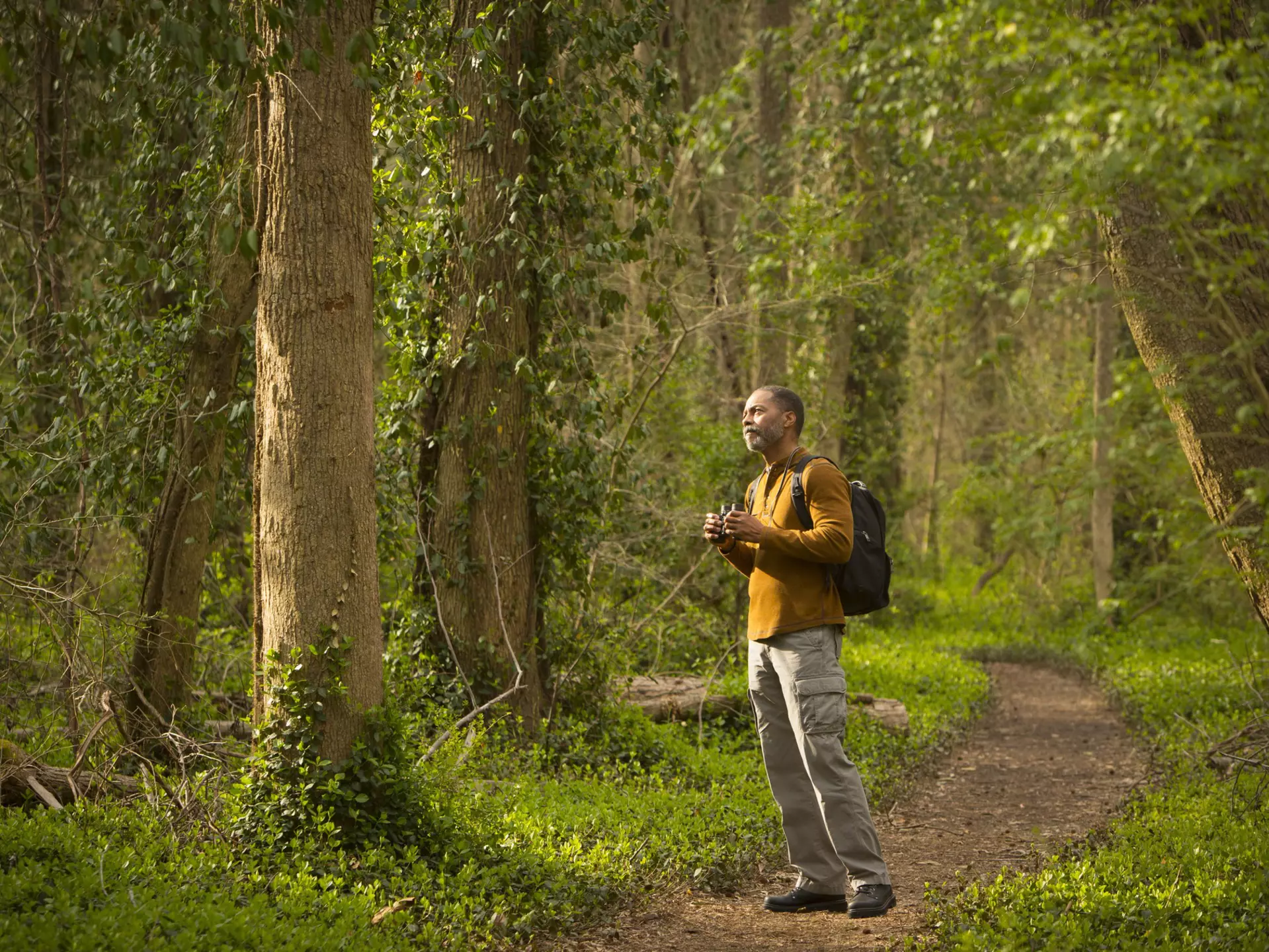 740522009
65-69 years, active seniors, adventure, affluent, african-american ethnicity, aging, authentic, authenticity, baby boomer, backpack, backpacking, binoculars, bird watching, black hair, candid, color image, copy space, day, enchantment, focused, forest, full length, getting away from it all, healthy, healthy living, hiking, hobby, holding, horizontal, looking, looking away, man, minority, nature, one person, outdoors, path, peace, people, photography, real life, real people, recreation, remote, retirement, richmond, searching, selective focus, senior adult, senior men, side view, standing, trail, travel, tree, united states, vacations, virginia, weekend pursuits, wonderment, woods