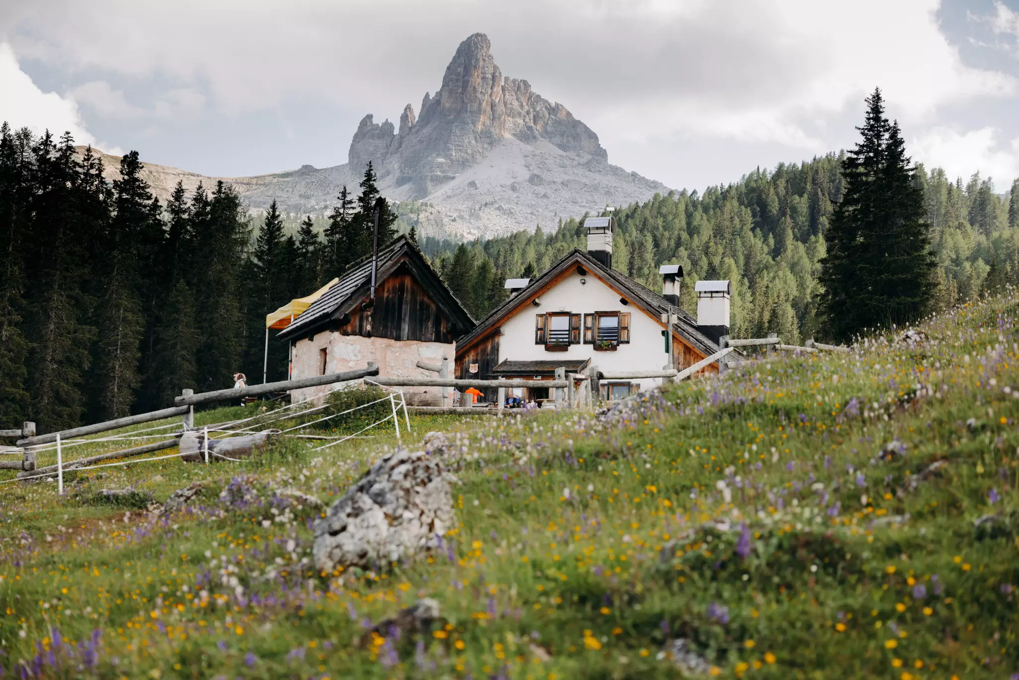 Two houses in the middle of a field of flowers with a mountain in the background.
