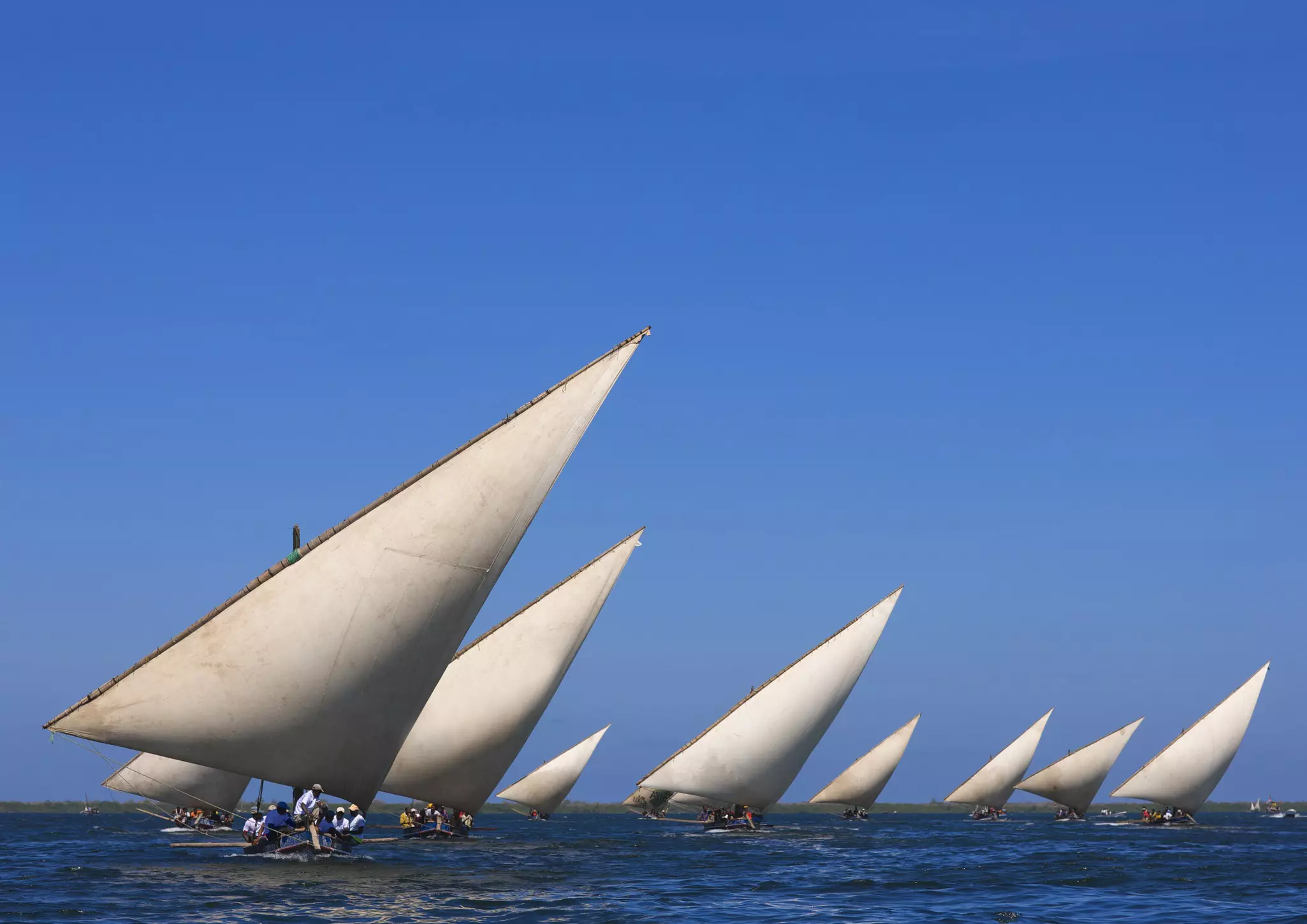 The dhow races in full swing in the waters off Lamu ©Eric Lafforgue/Lonely Planet