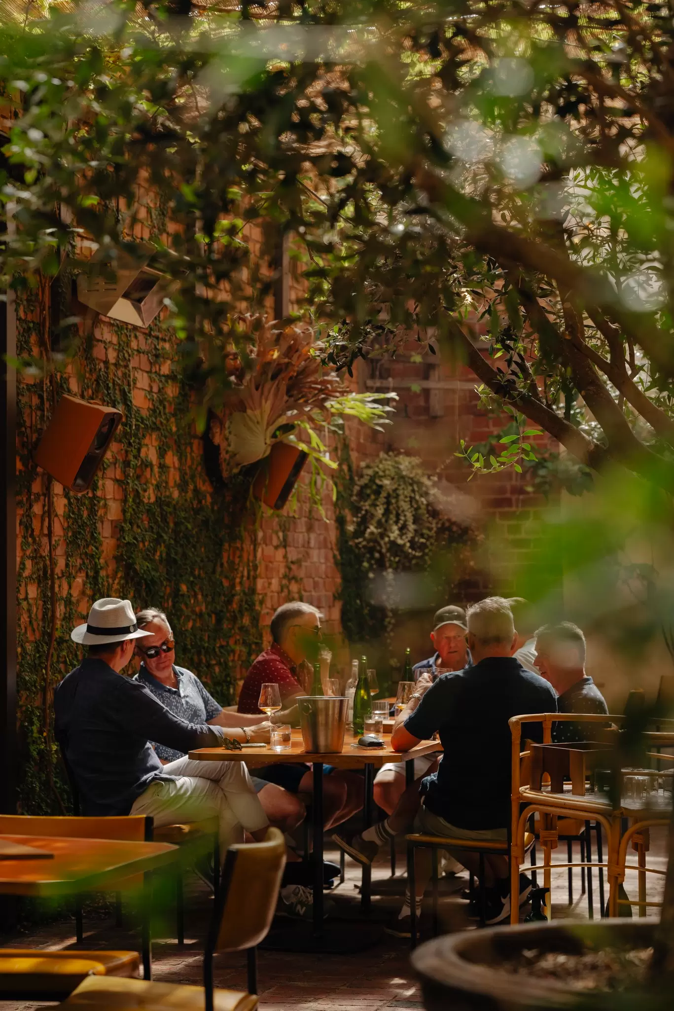 A group of men drinking outside under treesat Waxflower Wine Bar, Brunswick, Melbourne