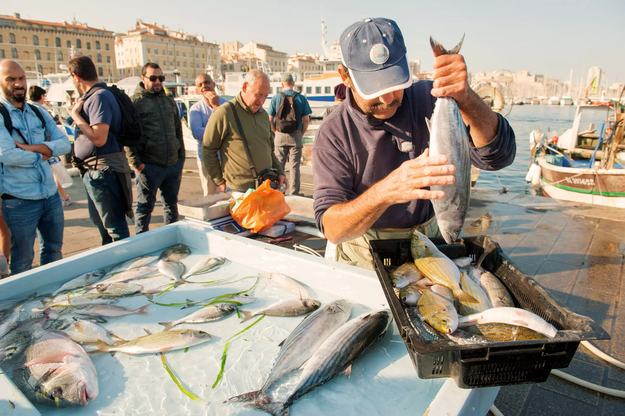 A man holds a fresh fish at a fish market at a quay in a city