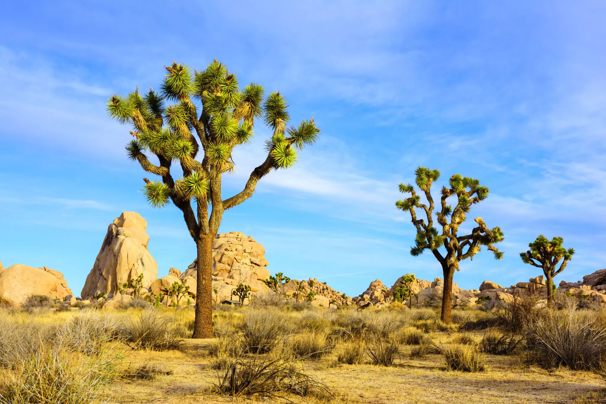 Visit California, Deserts, Joshua Tree National Park, Outdoors
Hidden Valley, Joshua Tree National Park, California
Courtesy of Visit Greater Palm Springs. For sponsored article