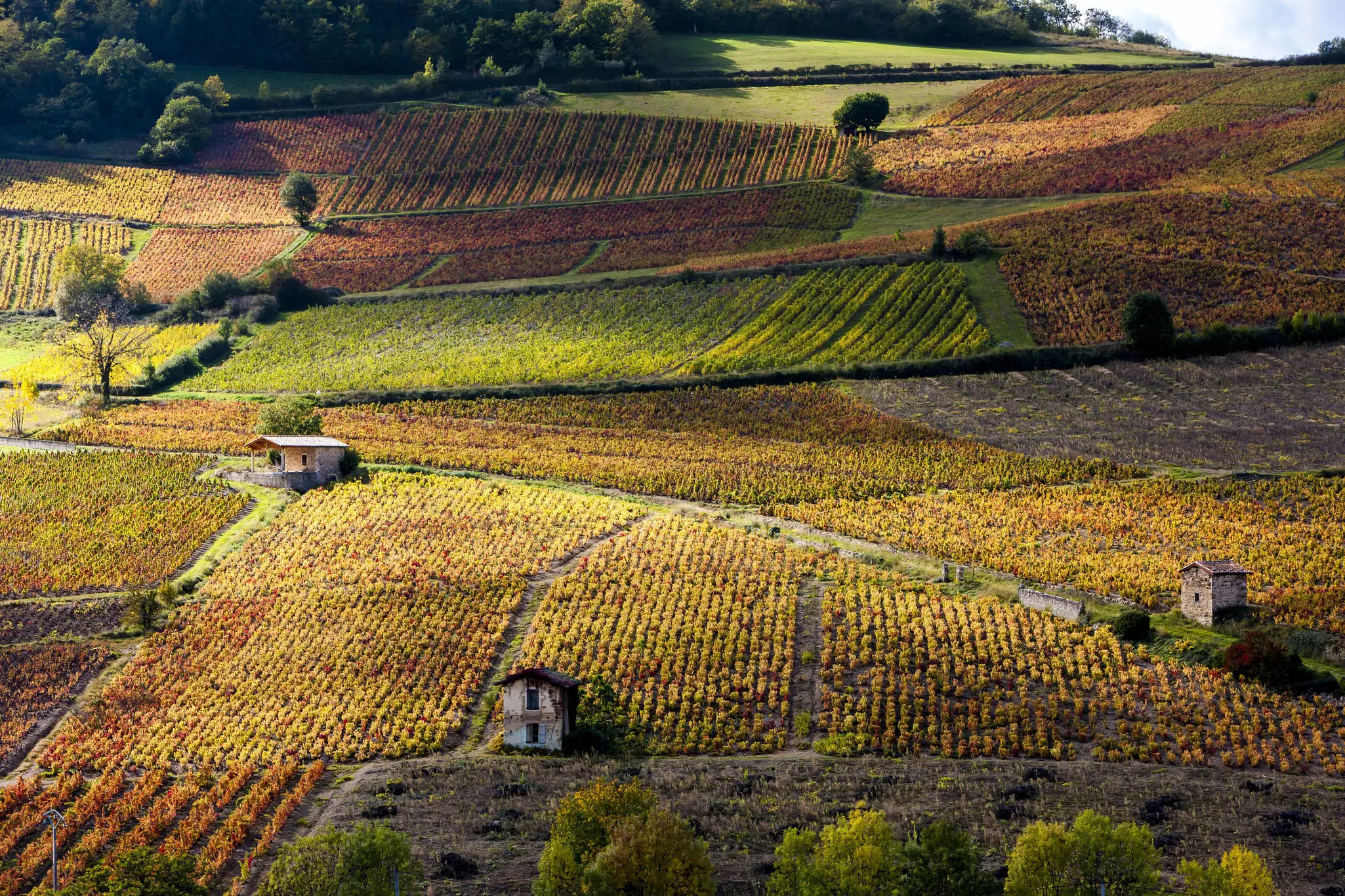 Burgundy is famous for it's vineyards © PHB.cz (Richard Semik)/Shutterstock