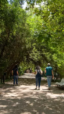 The Jardin Botánico houses a wide variety of plants.