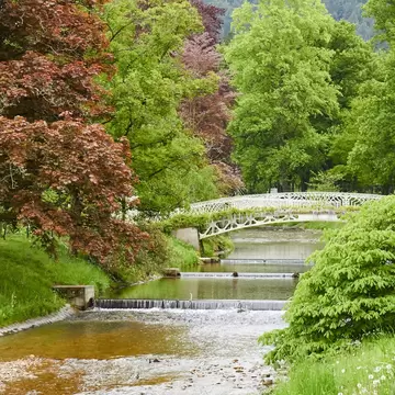 A view of trees and a bridge in the Lichtentaler Allee in Baden-Baden.