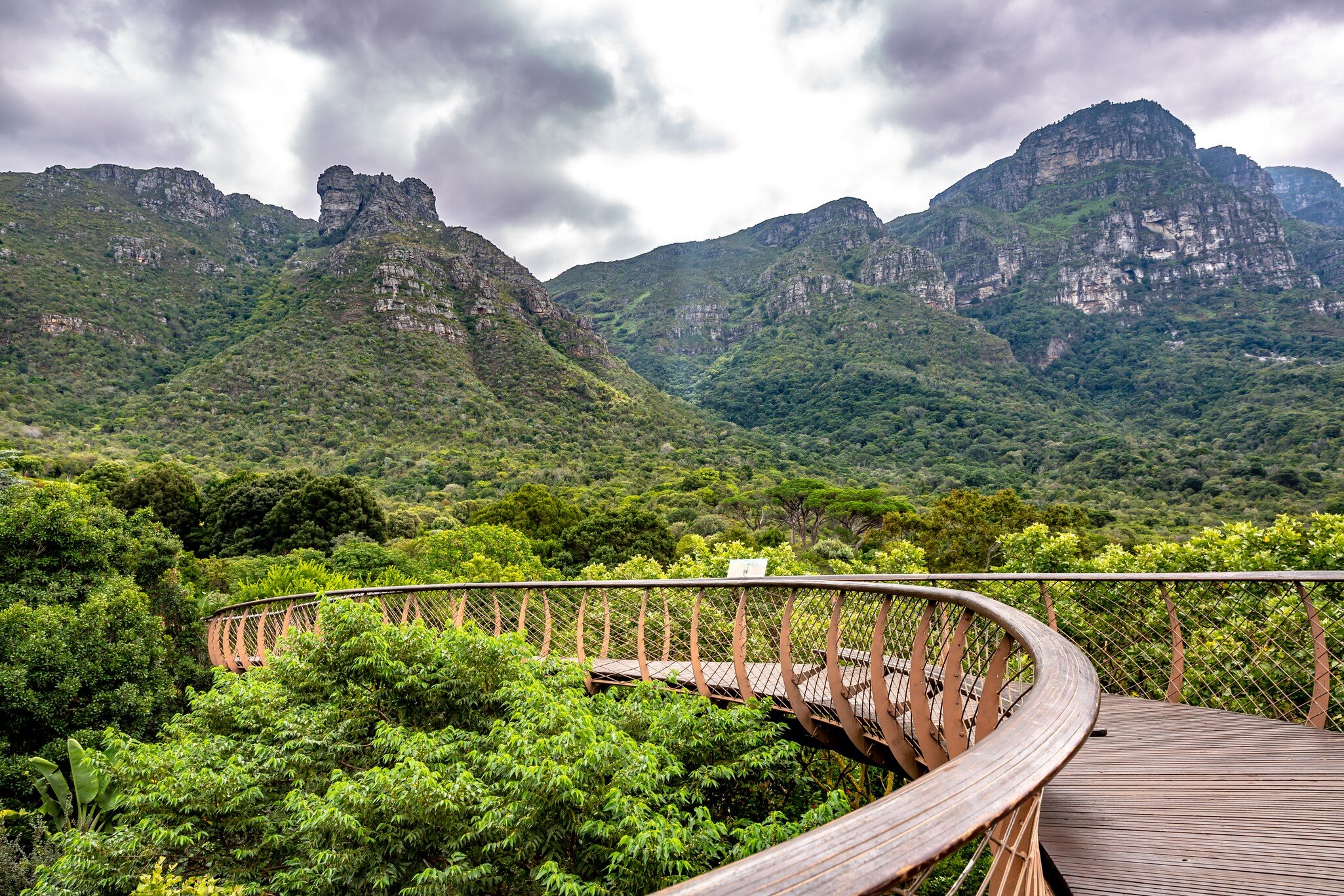 Curved wooden and steel walkway snaking over dense green trees toward rugged forested mountain slopes under grey cloud
