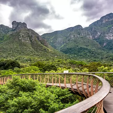 Curved wooden and steel walkway snaking over dense green trees toward rugged forested mountain slopes under grey cloud