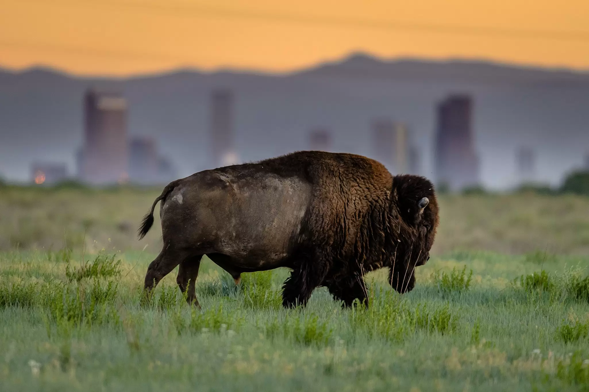 Colorado is an outdoor wonderland, but it pays to be prepared for the climate, altitude and wildlife. Matt Dirksen/Getty Images