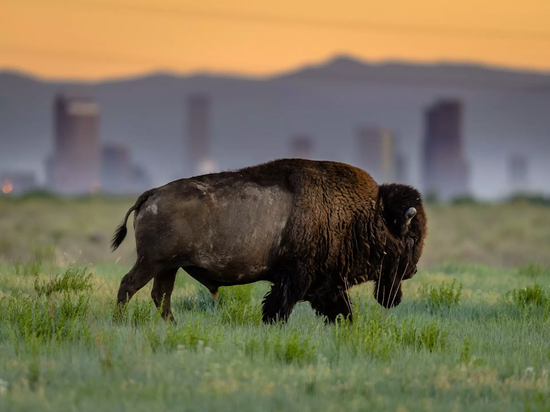 Colorado is an outdoor wonderland, but it pays to be prepared for the climate, altitude and wildlife. Matt Dirksen/Getty Images