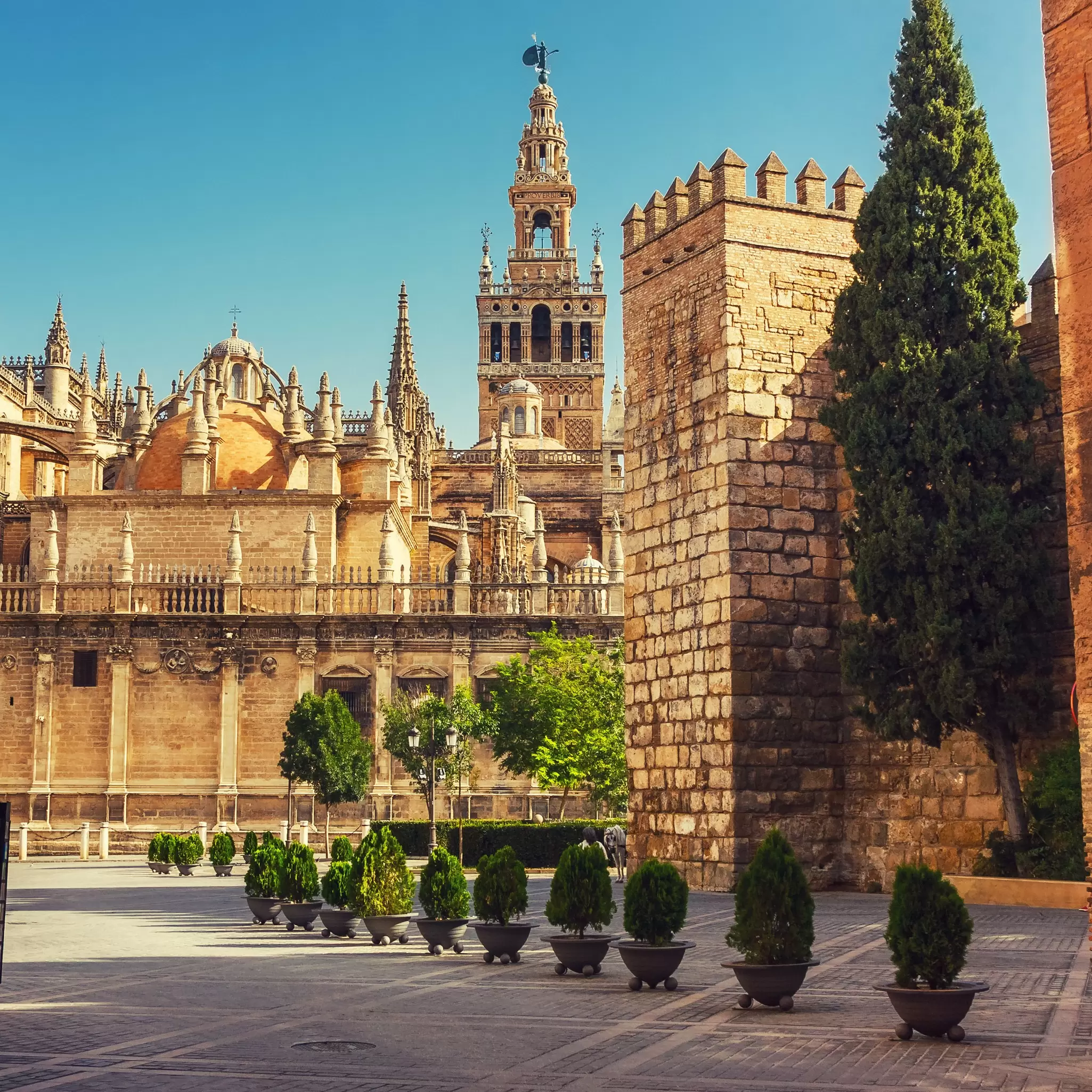 La Giralda bell tower in Sevilla.
309222395
tower, medieval, cathedral, square, historical, catholicism, spain, travel, culture, landmark, attraction, touristic, old, roman, building, faith, tourist, fortress, church, seville, architecture, la, spanish, temple, catholic, giralda, christ, tourism, religion, stones, monument, christianity, europe, andalusia, sevilla