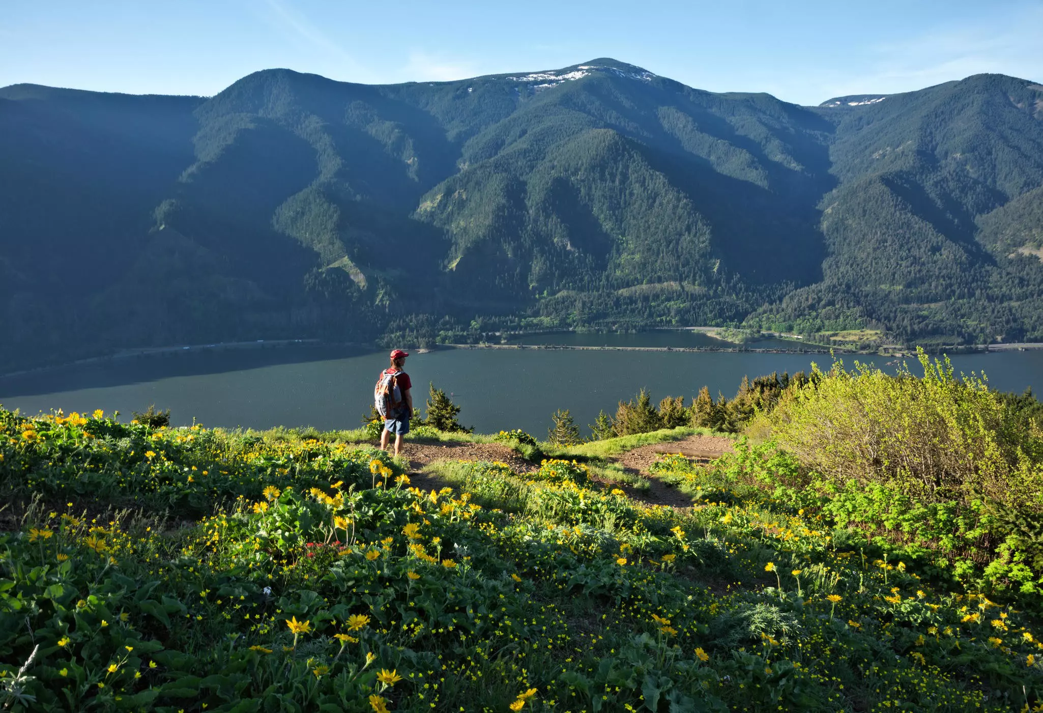 A hiker looks at the view of the Columbia River from the Dog Mountain Trail