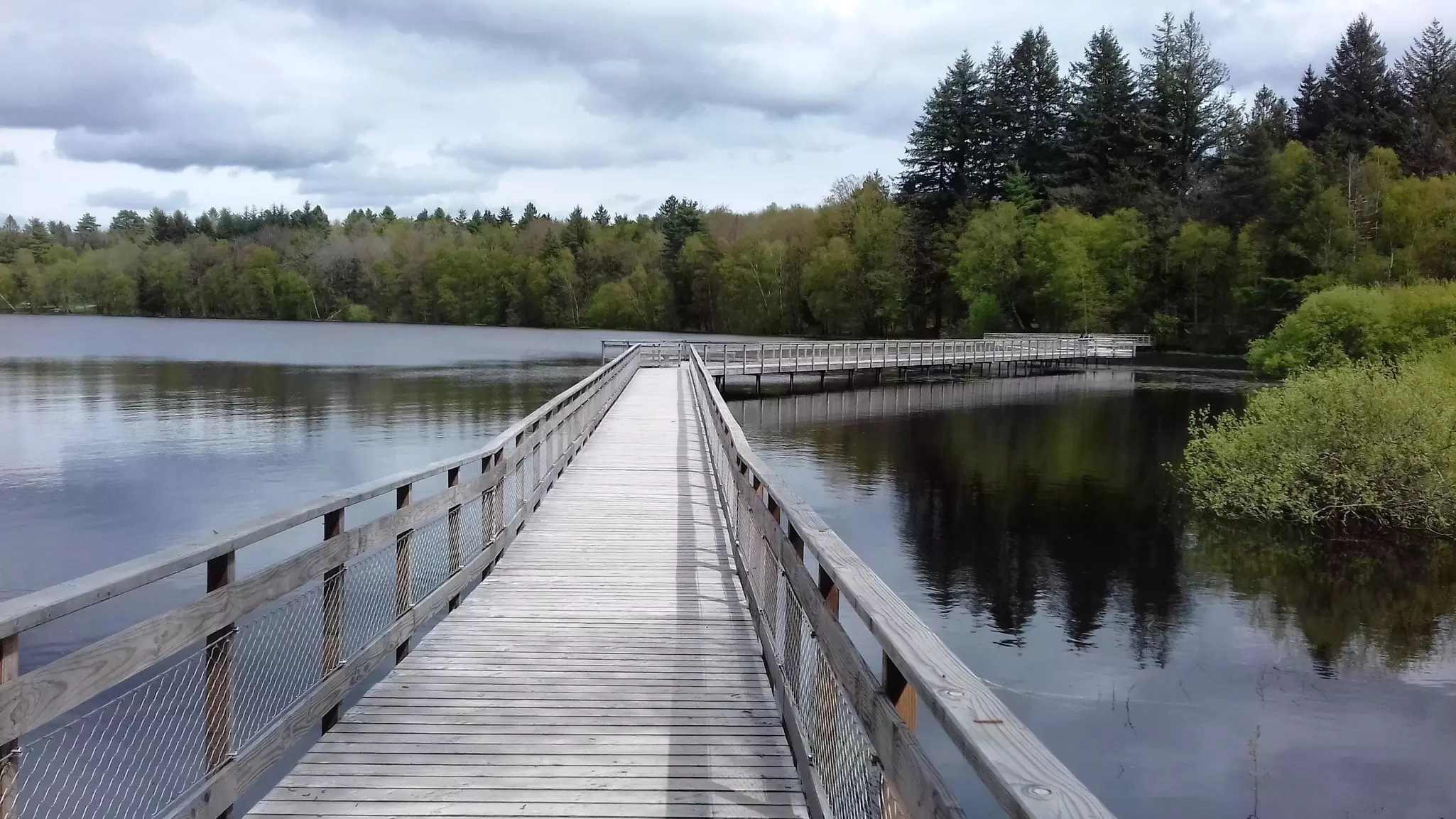 A boardwalk leads over a lake ringed by trees.