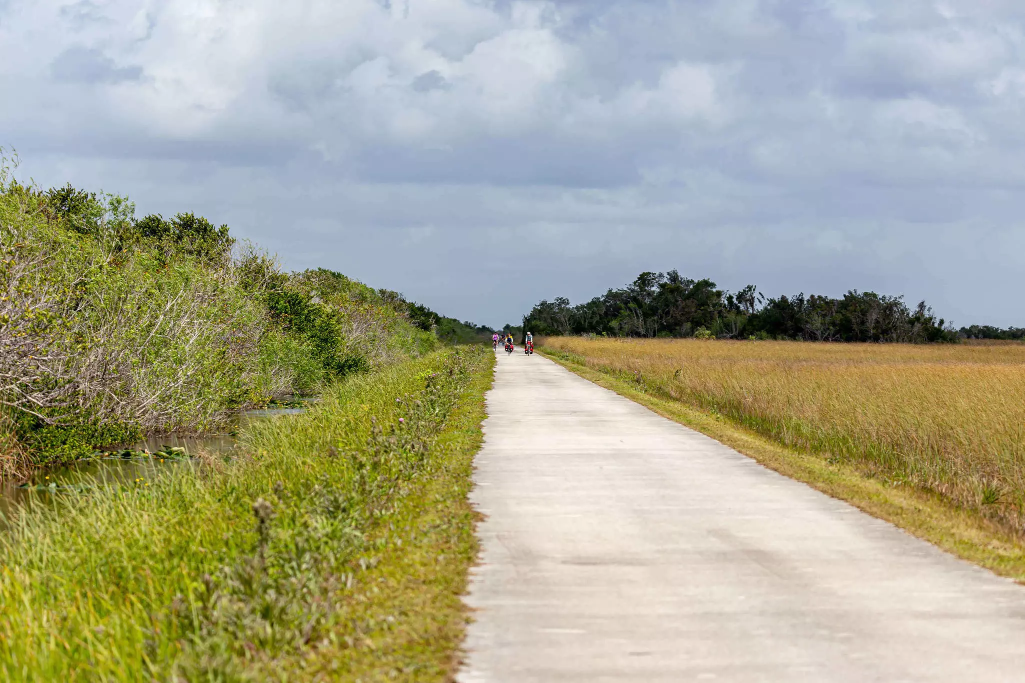 Bring plenty of sunscreen when you tackle Shark Valley's trail © Keith Draycott / Getty Images