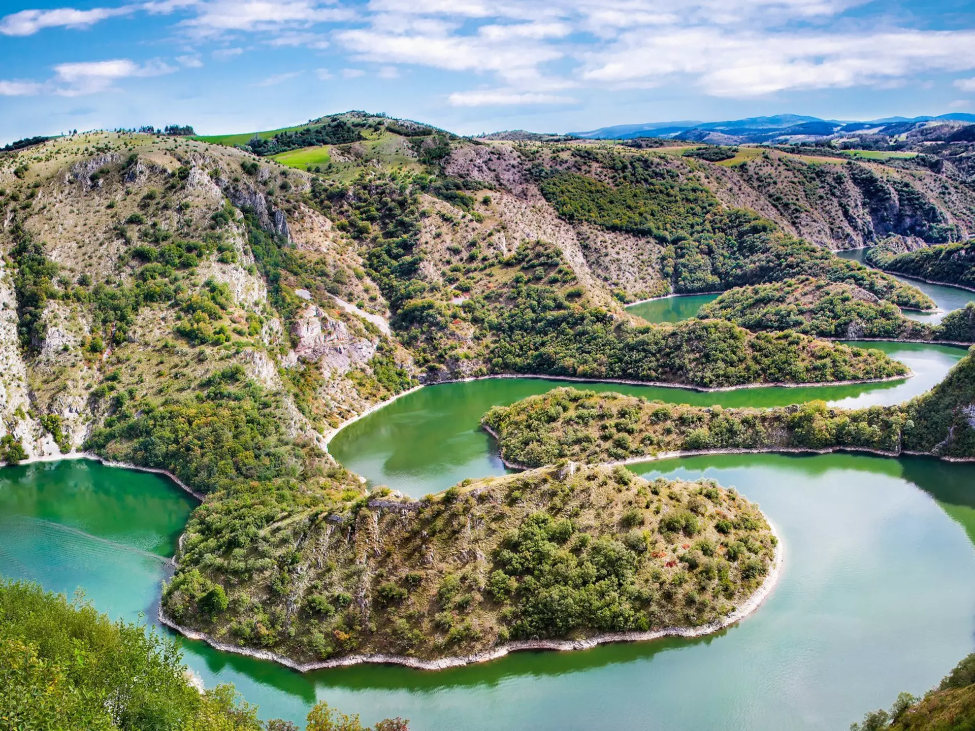 A griffon vulture flying over the Uvac river, Serbia. Aleksandar Todorovic/Shutterstock