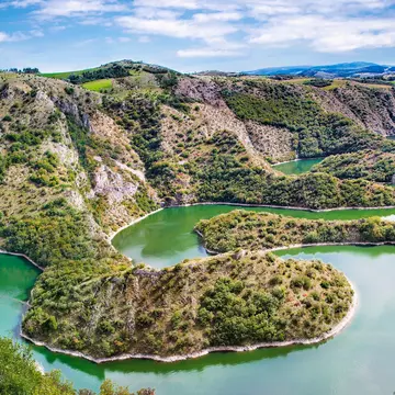A griffon vulture flying over the Uvac river, Serbia. Aleksandar Todorovic/Shutterstock