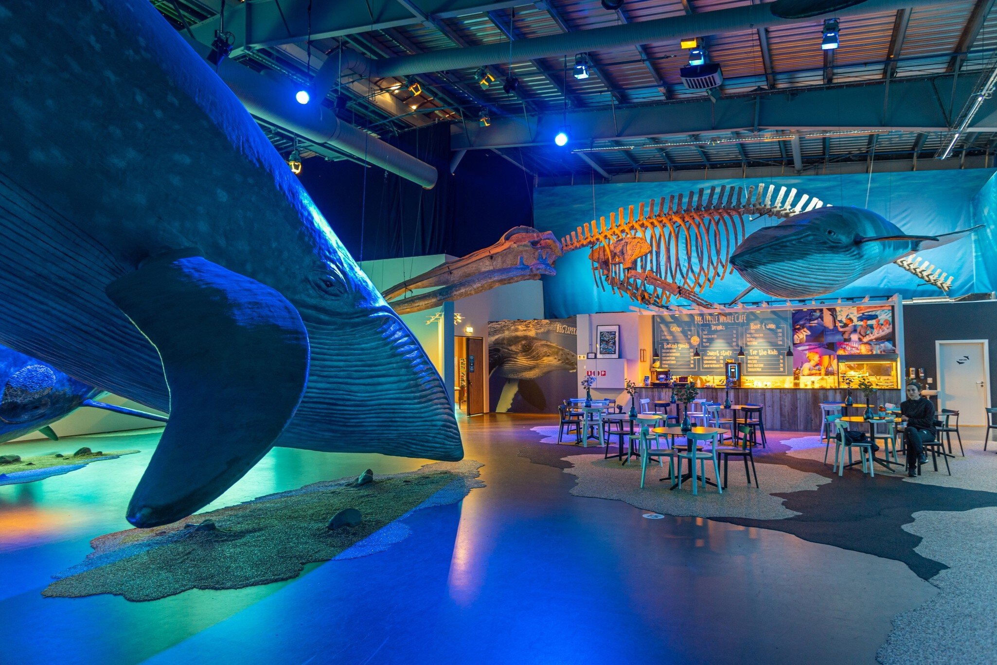 Reykjavik, Iceland, August 31, 2020: Exhibits at the Whales of Iceland museum in Reykjavik, Iceland, License Type: media, Download Time: 2026-04-20T16:12:22.000Z, User: clairenaylor, Editorial: true, purchase_order: 65050 - Digital Destinations and Articles, job: Online editorial, client: Reykjavik museums, other: Claire Naylor