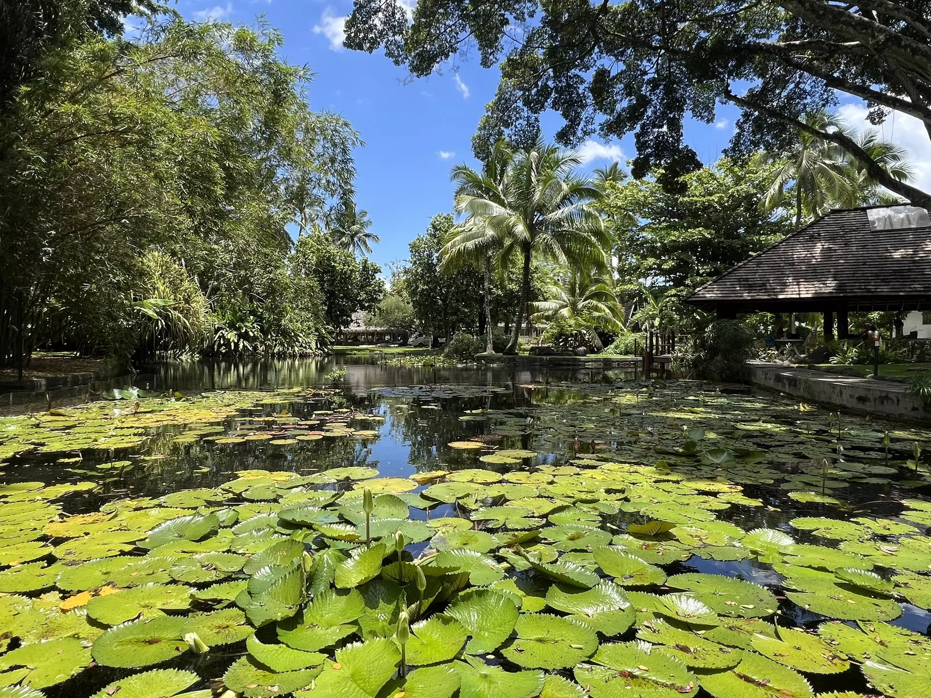  Papeʻetē, Tahiti, French Polynesia. Jessica Lockhart/Lonely Planet