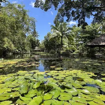  Papeʻetē, Tahiti, French Polynesia. Jessica Lockhart/Lonely Planet