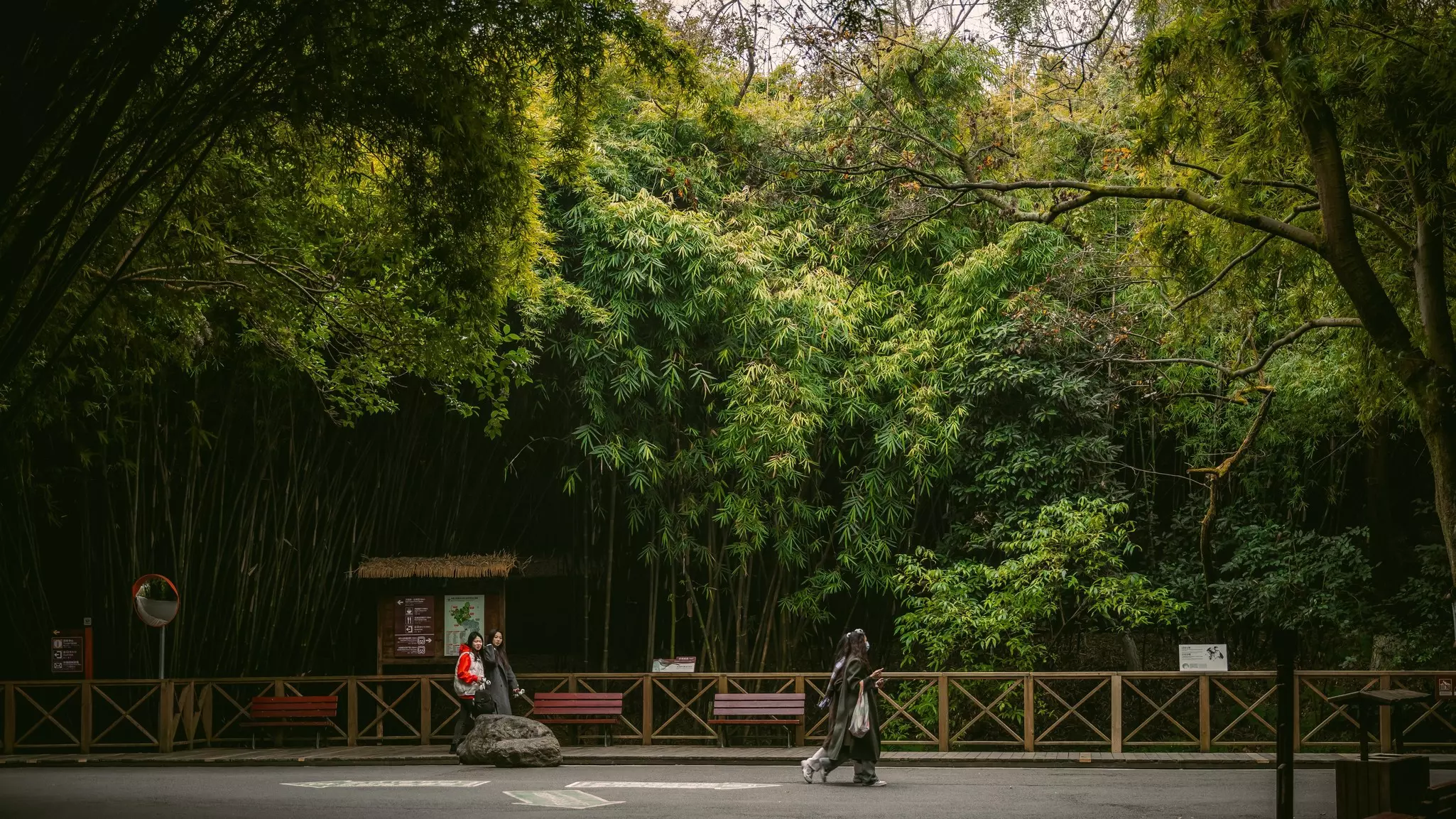 CHENGDU RESEARCH BASE OF GIANT PANDA BREEDING (1).jpeg