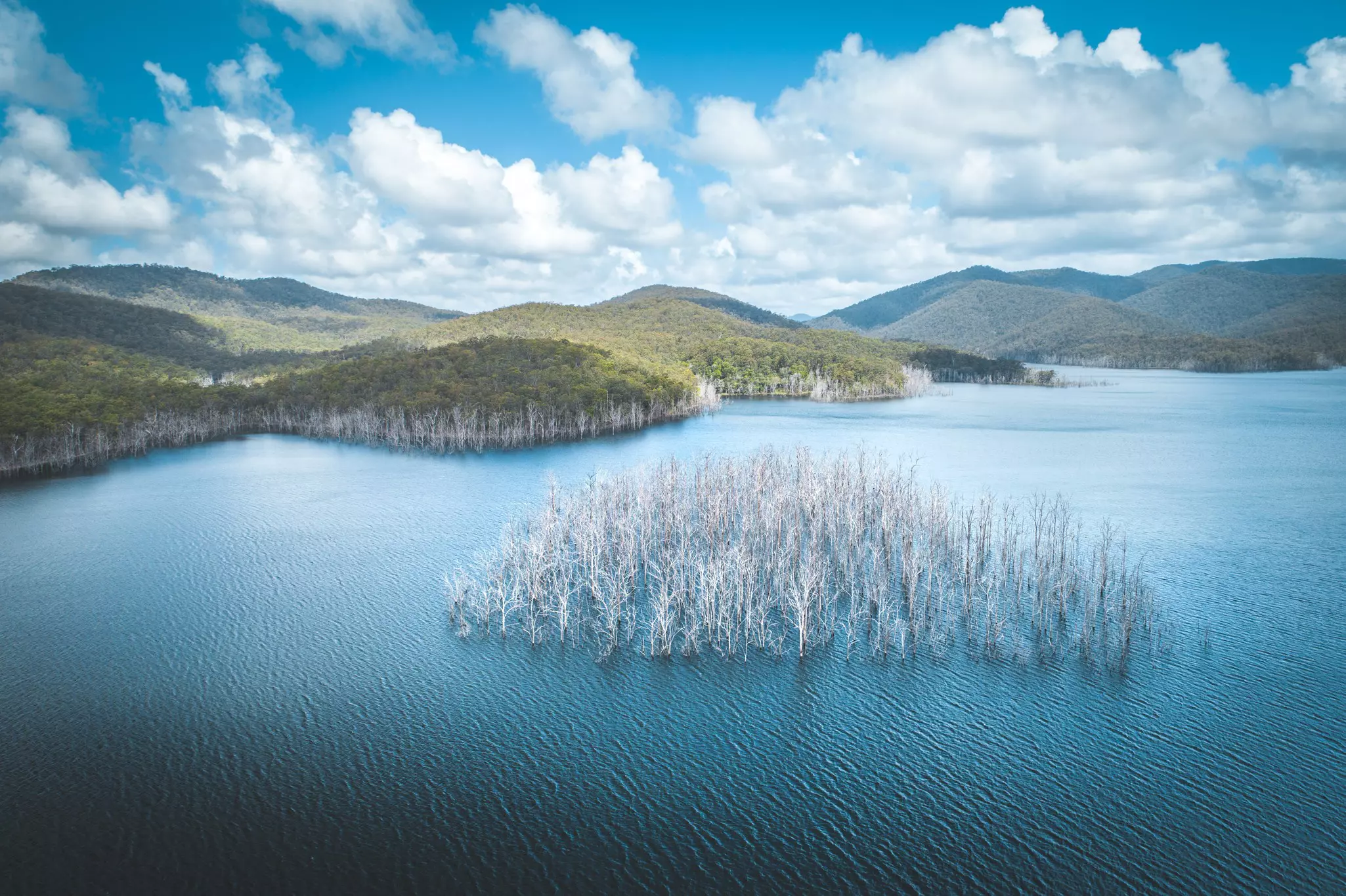 Aerial shot of forest and Advancetown lake in Queensland, Australia.