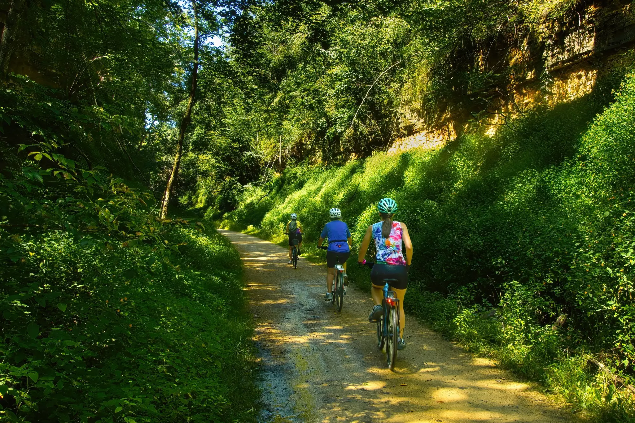 Three female cyclists, seen from behind on a sunny summer day, passing through a forested gorge on a trail