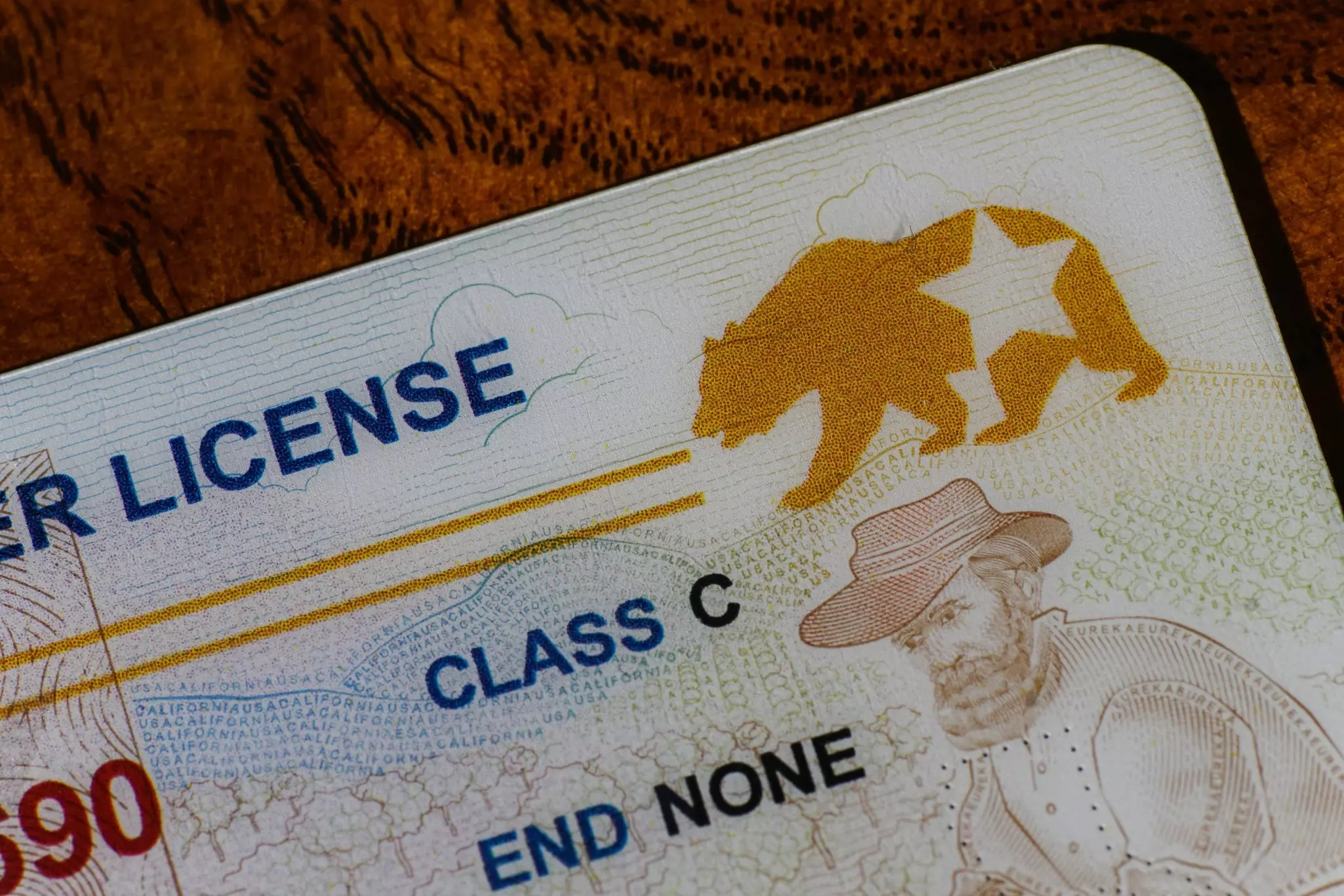 A close-up of the corner of a California Real ID driver license, focusing on the bear and star logo.