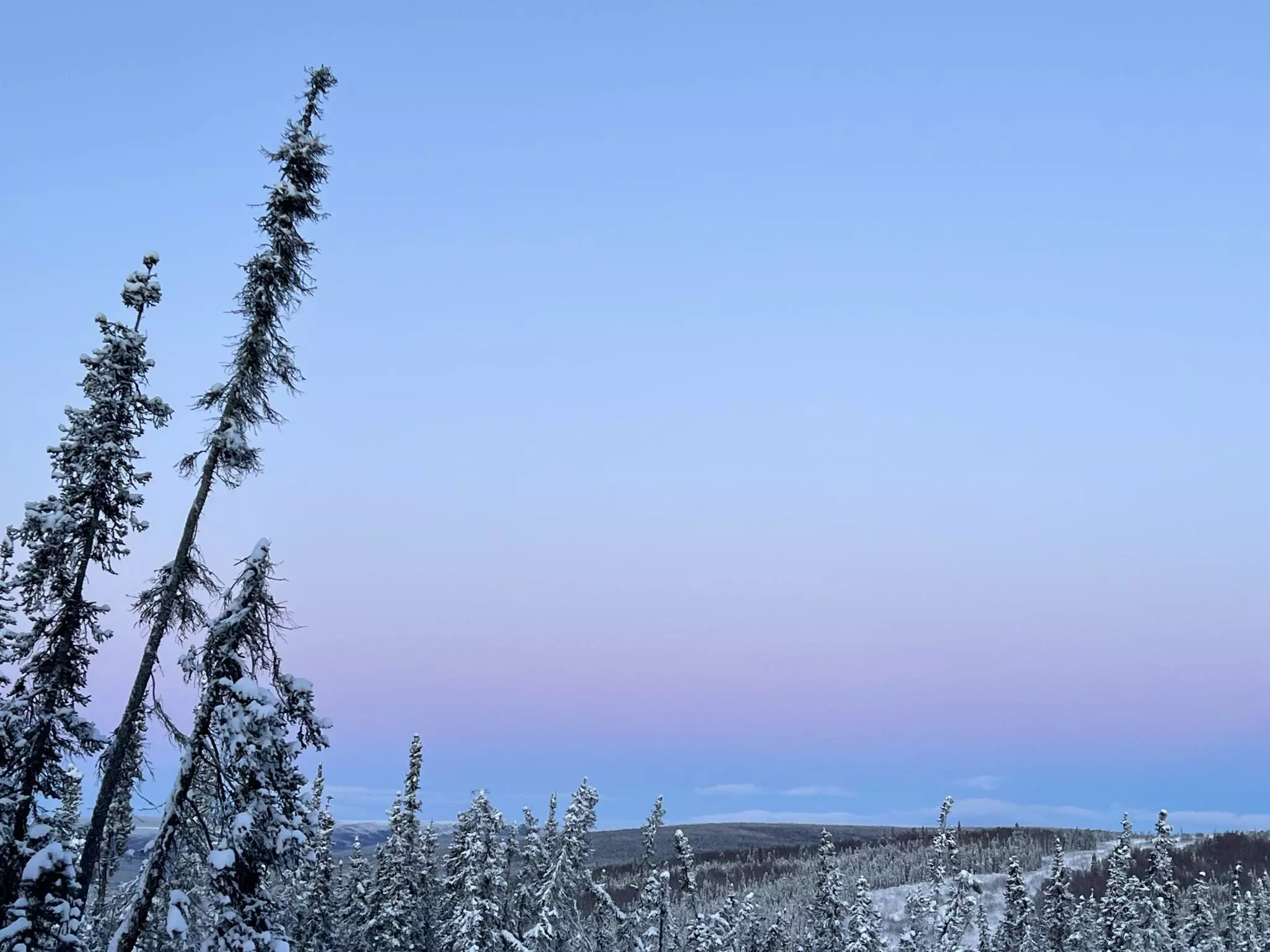A gray winter sky with a hint of brightness and a streak of pink and blue as the sun rises