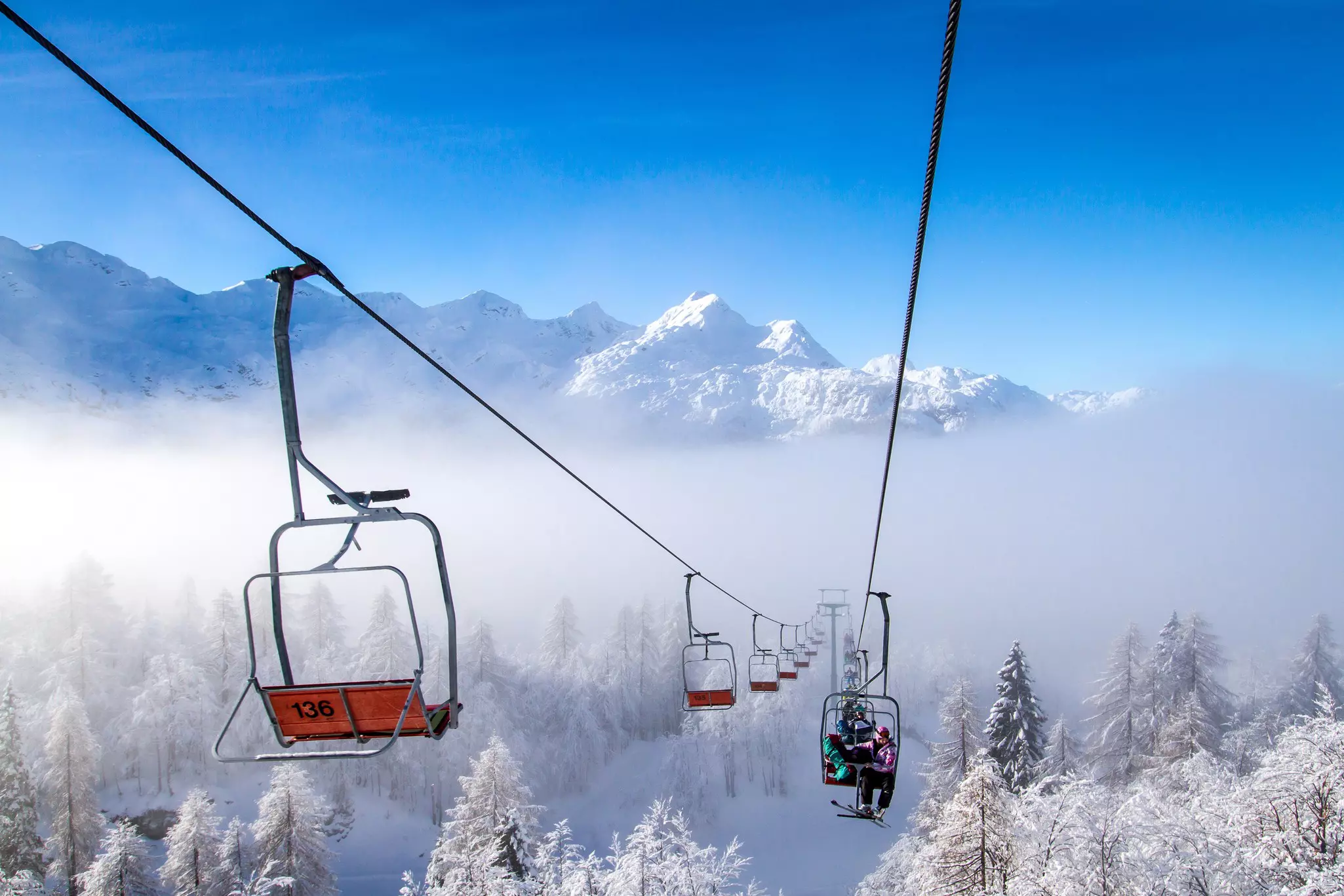 Ski lifts above snow-covered trees with a snow-covered mountain range in the background