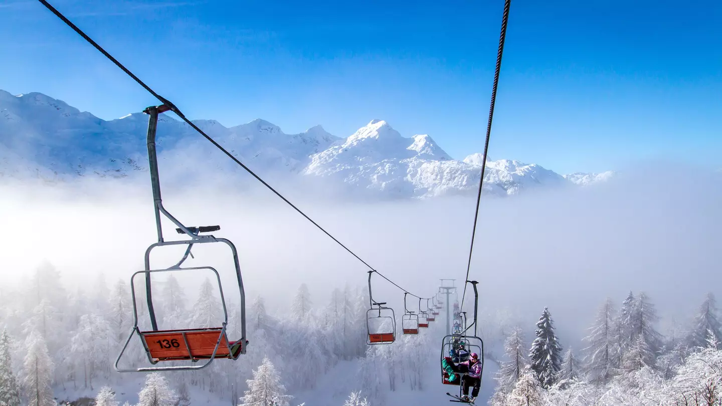Ski lifts above snow-covered trees with a snow-covered mountain range in the background
