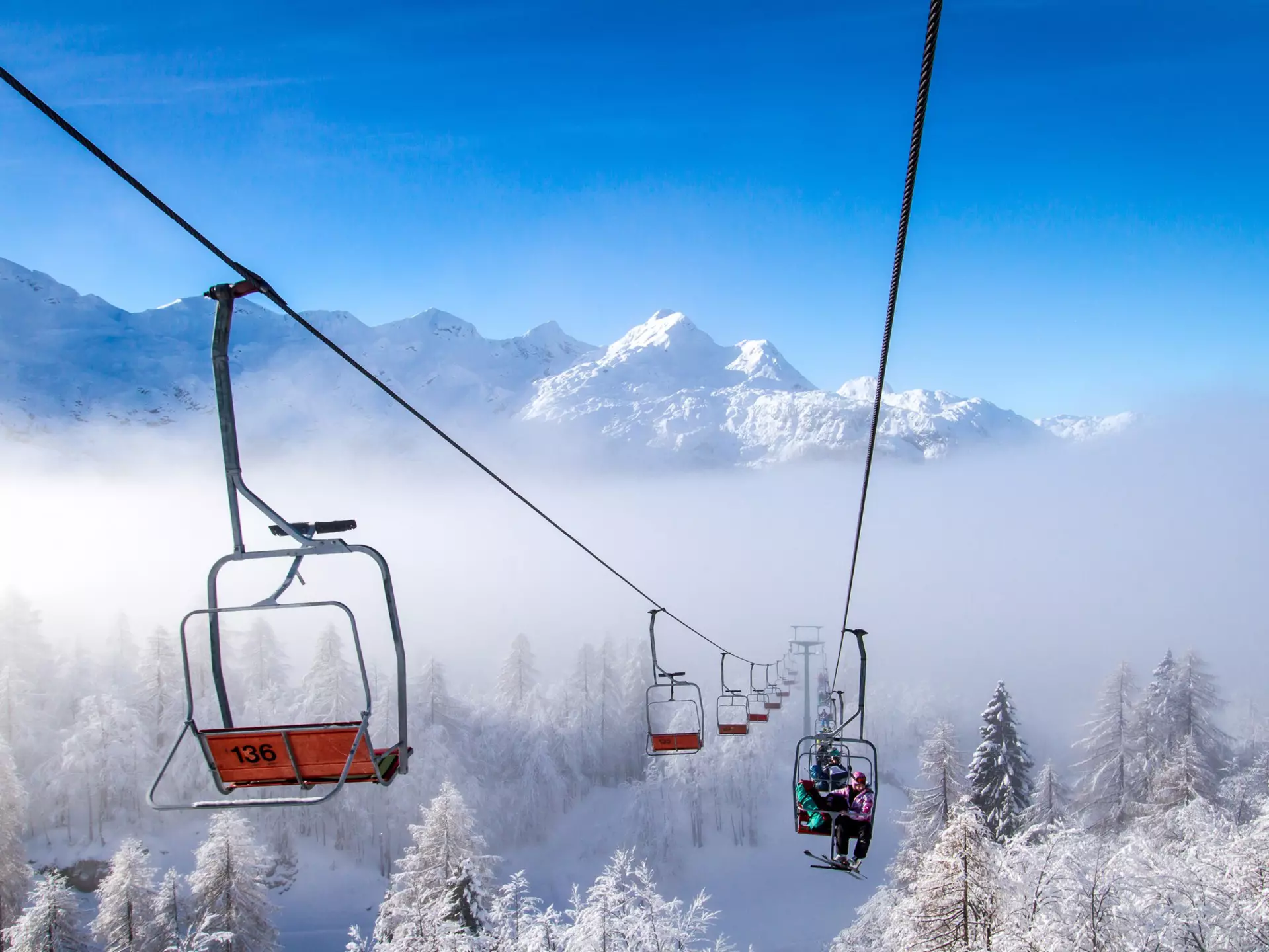 Ski lifts above snow-covered trees with a snow-covered mountain range in the background