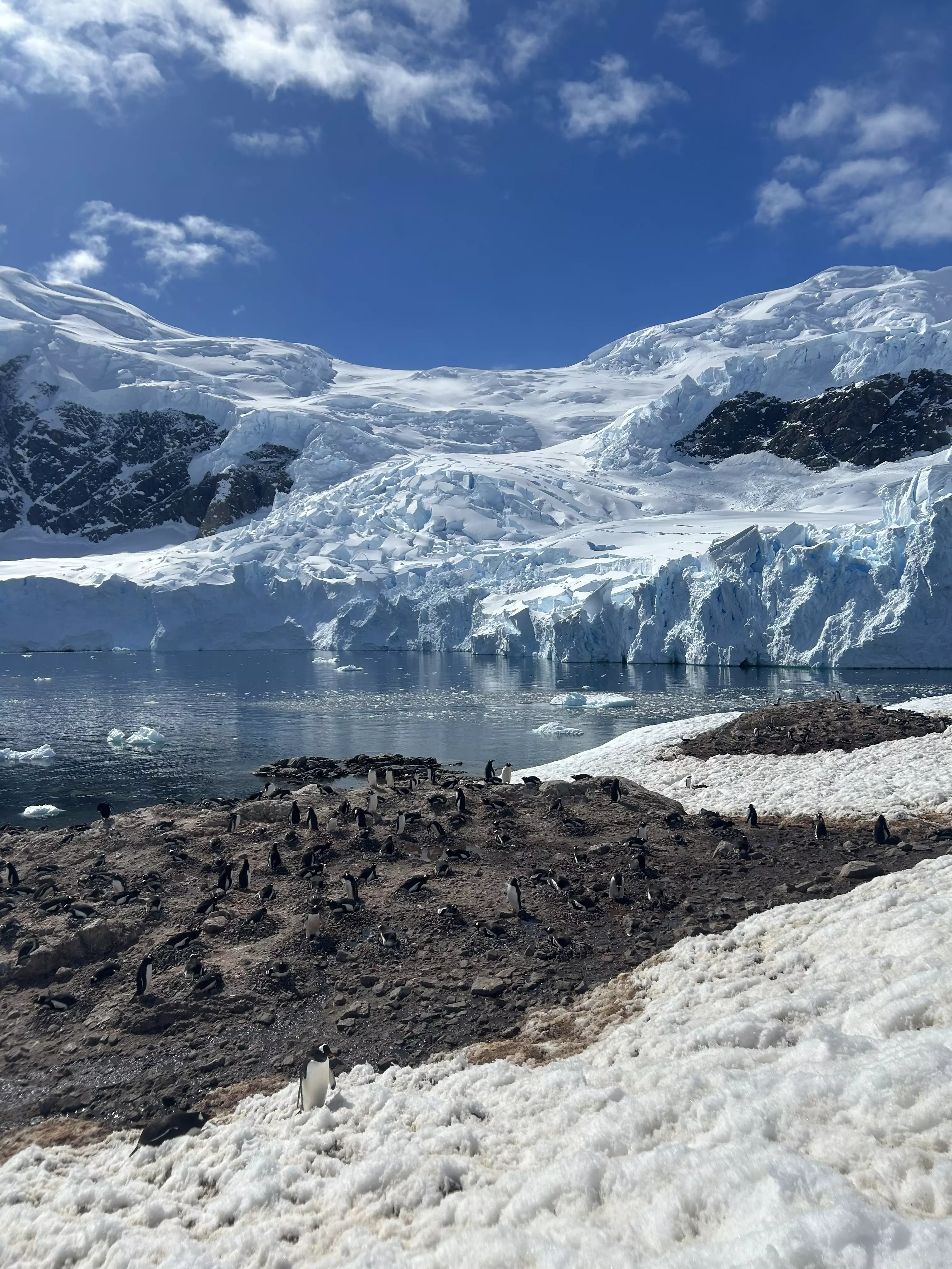 Antarctica cruise November-Dec 2025