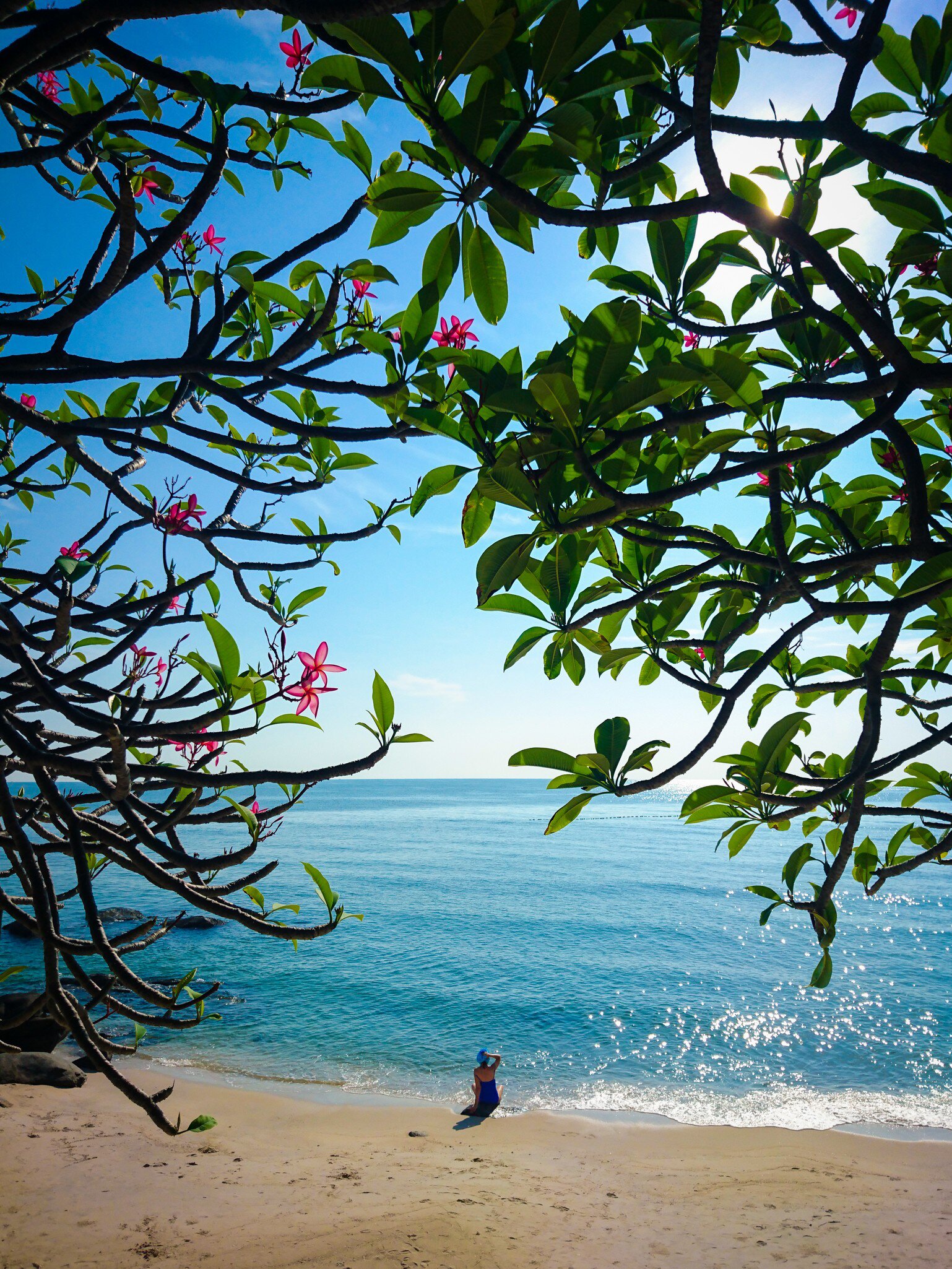 A tourist enjoying the sun at Hua Hin beach in Hua Hin, Thailand. A tree with pink flowers framing the subject in the foreground.