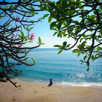 A tourist enjoying the sun at Hua Hin beach in Hua Hin, Thailand. A tree with pink flowers framing the subject in the foreground.