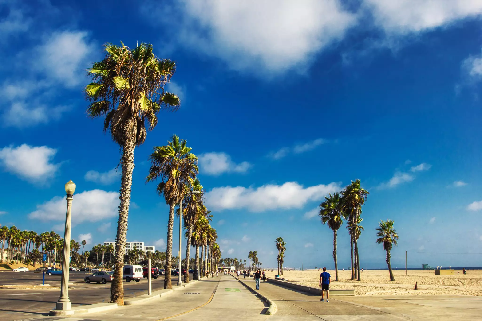 A footpath and bike path beside a beach, with a row of palms to one side. The blue sky has small clouds overhead on a sunny day.
