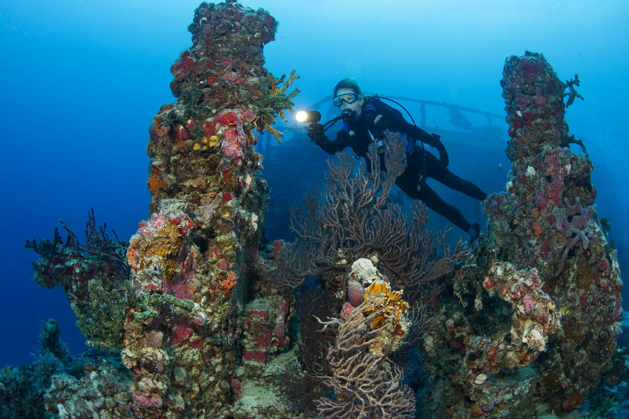 The USS Spiegel Grove feels like an underwater Manhattan during rush hour, with marine life on another level © Getty Images