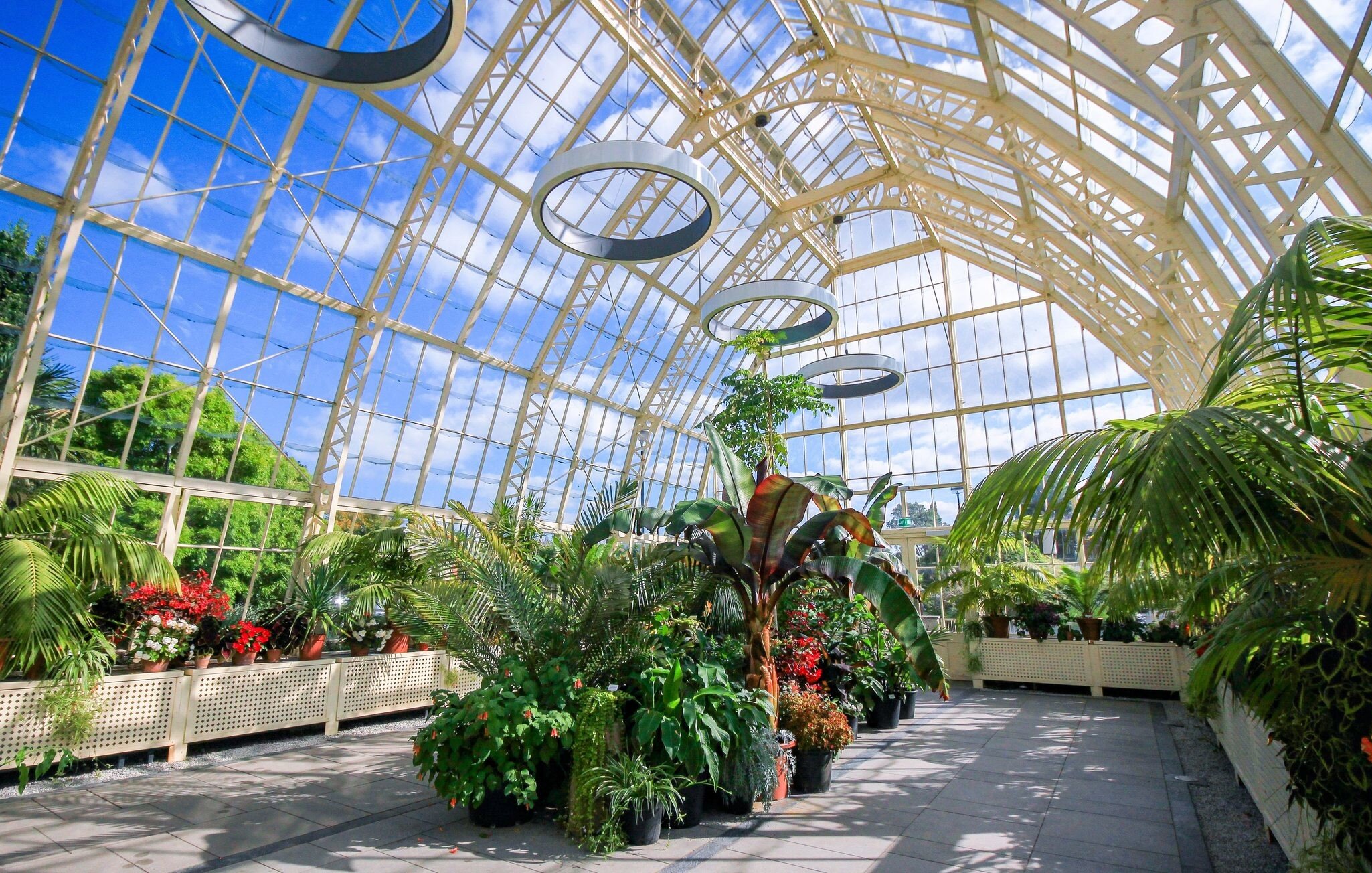 A glass greenhouse in a botanic garden, with tropical plants growing everywhere.