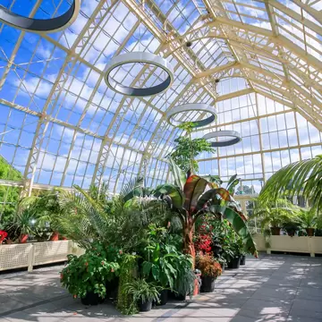 A glass greenhouse in a botanic garden, with tropical plants growing everywhere.