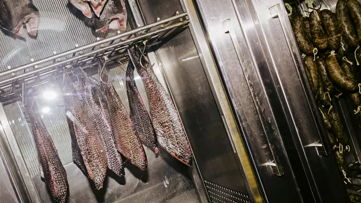 Black sea bass hang from steel racks in a steel refrigerator.