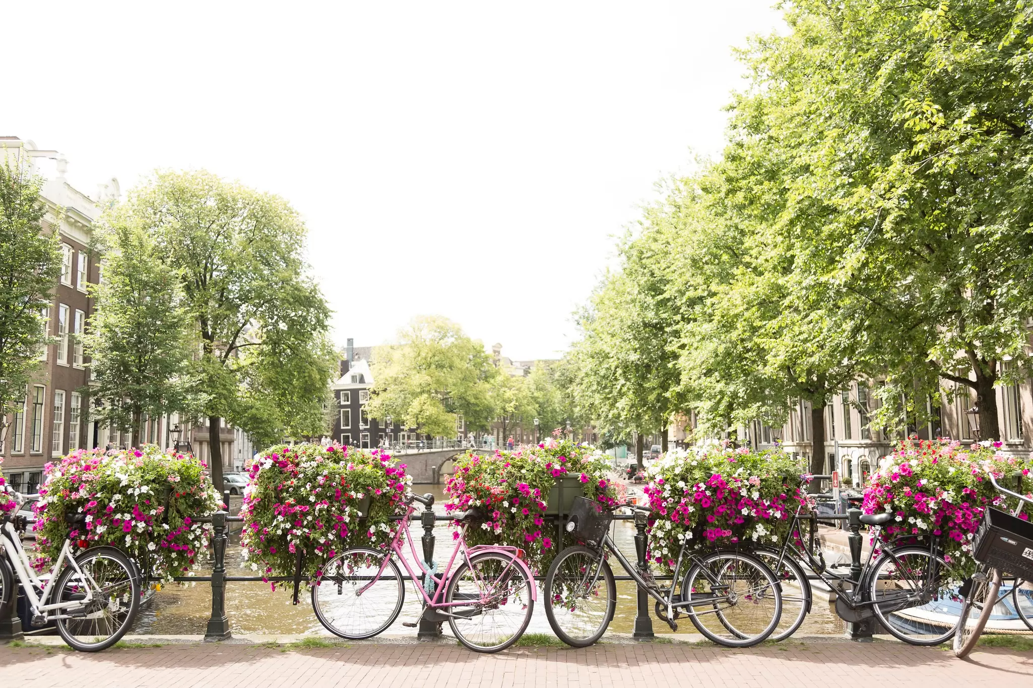 The canals of Amsterdam, the Netherlands
