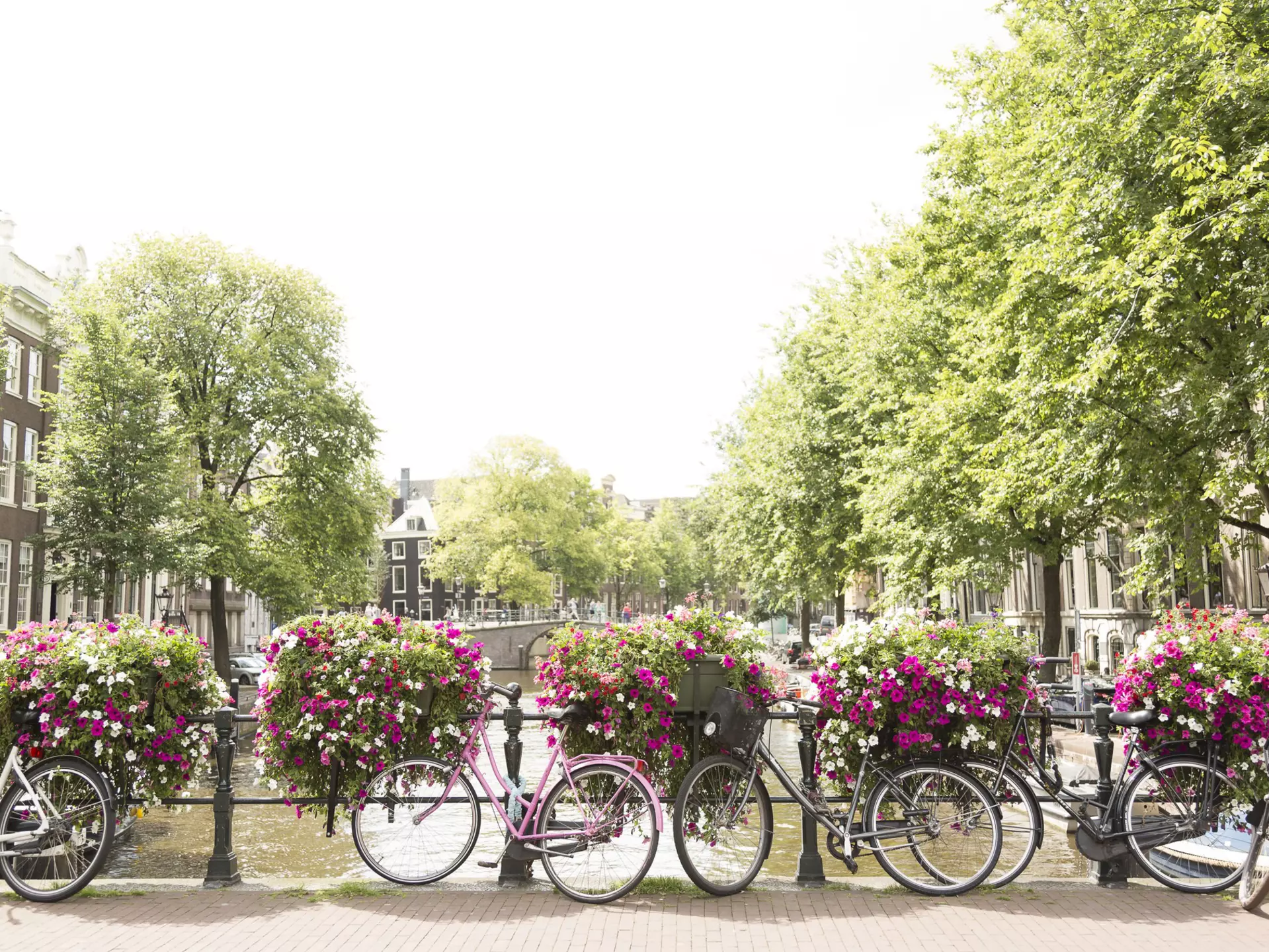 Bicycles on a canal bridge.
Lonely Planet Traveller Magazine, Issue 79, Amsterdam