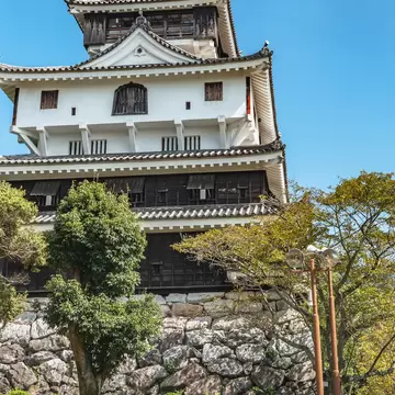 The castle tower of Iwakuni castle in Iwakuni city, Japan  License Type: media  Download Time: 2021-11-03T17:55:11.000Z  User: gwencotter  Is Editorial: No  purchase_order:   
