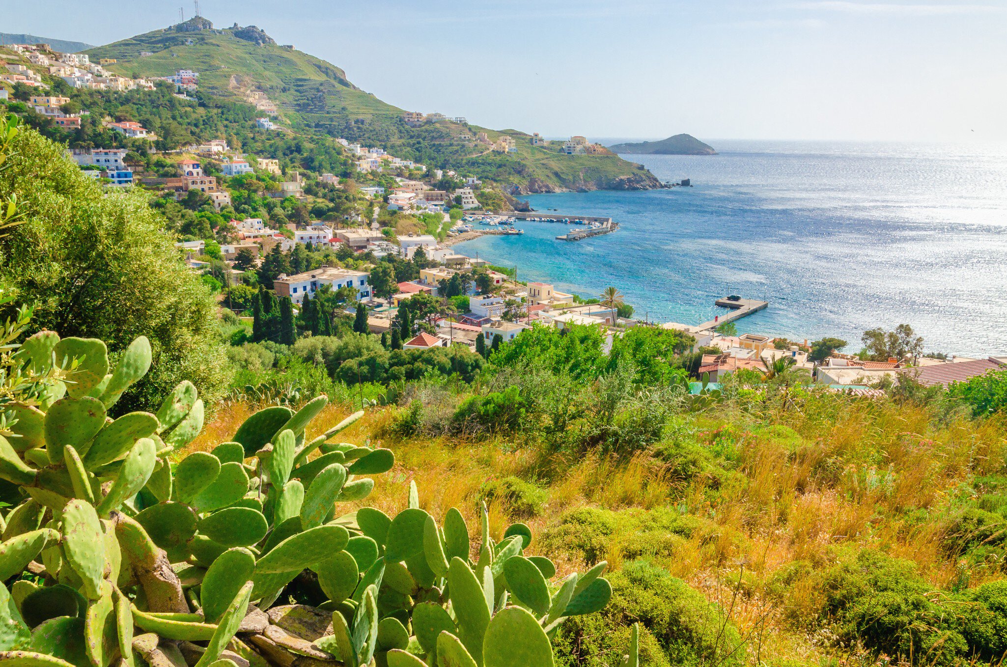 Cactuses and bay with typical Greek houses on the coast, Greek Islands, Aegean Sea